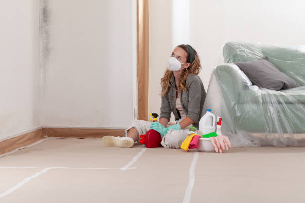 Reliable Mold Remediation contractor in Jersey City, NJ by Cheap Mold Removal